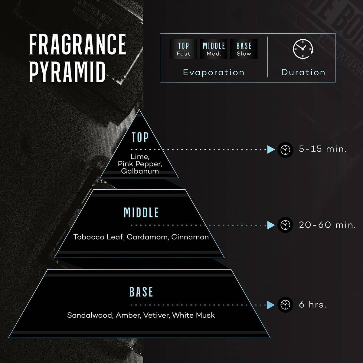 Men's pheromone cologne fragrance pyramid diagram with top middle base layers and timing