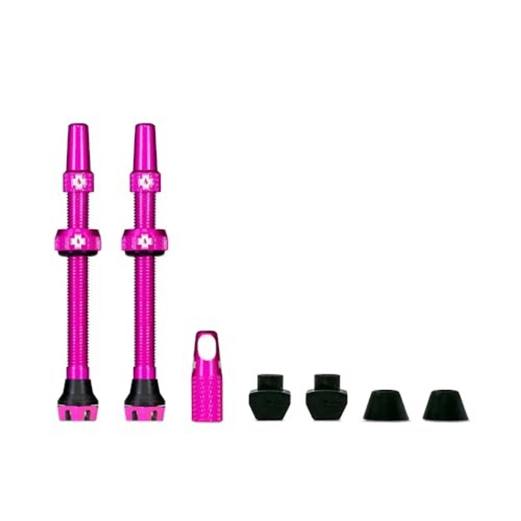 Two pink Presta tubeless valves with matching caps and black stem bases
