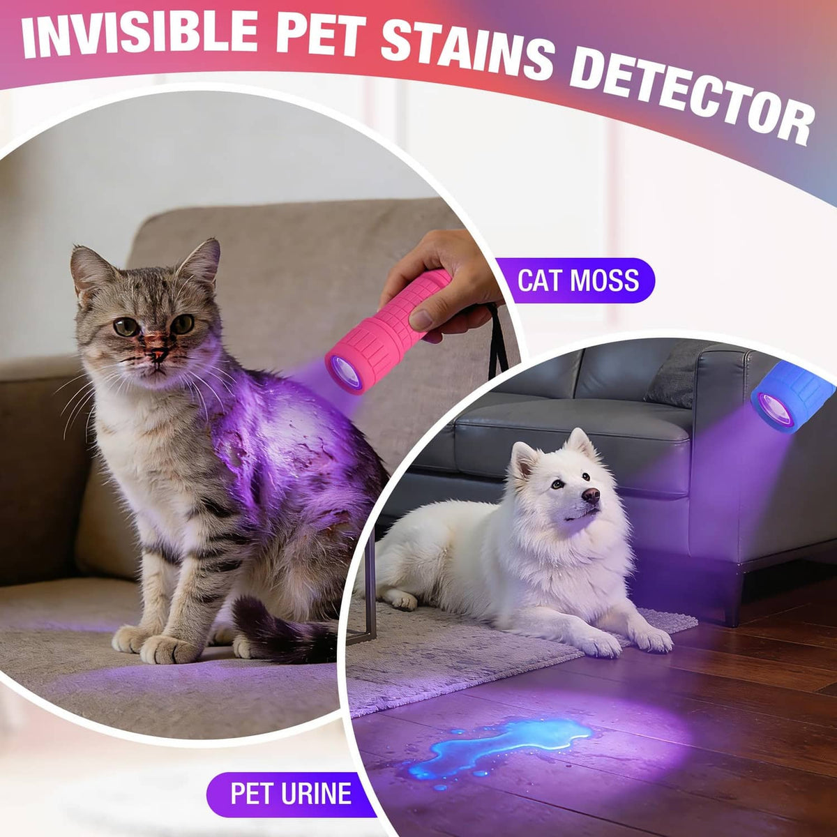Pink mini UV blacklight flashlight held near a cat for pet stain detection
