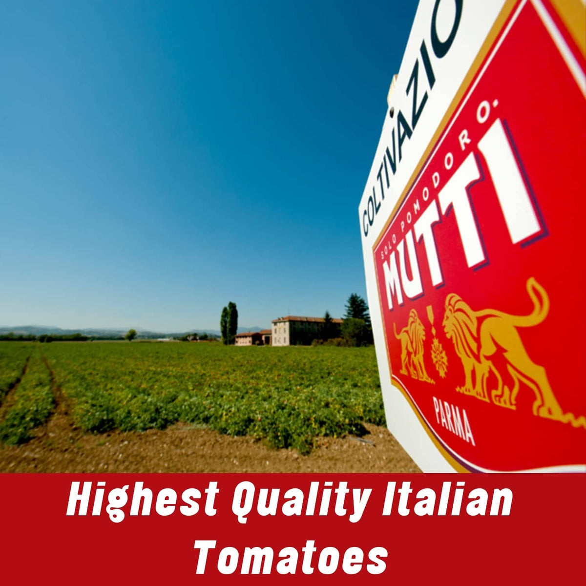 Mutti tomato paste carton with rooster emblem