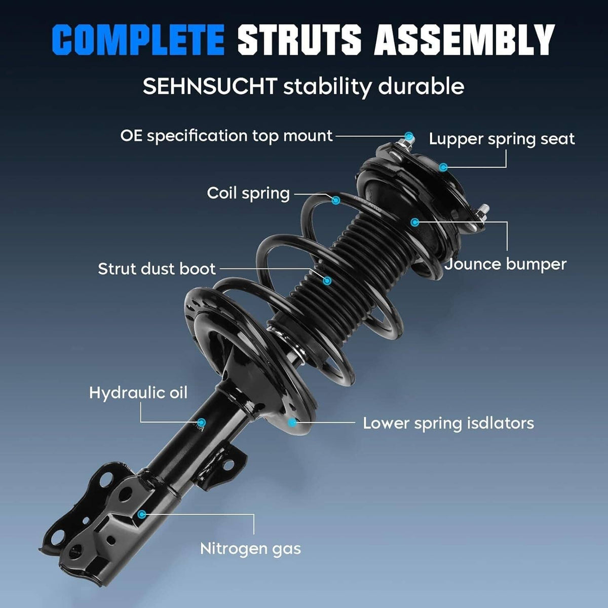 Complete front strut assembly diagram with coil spring and protective dust boot