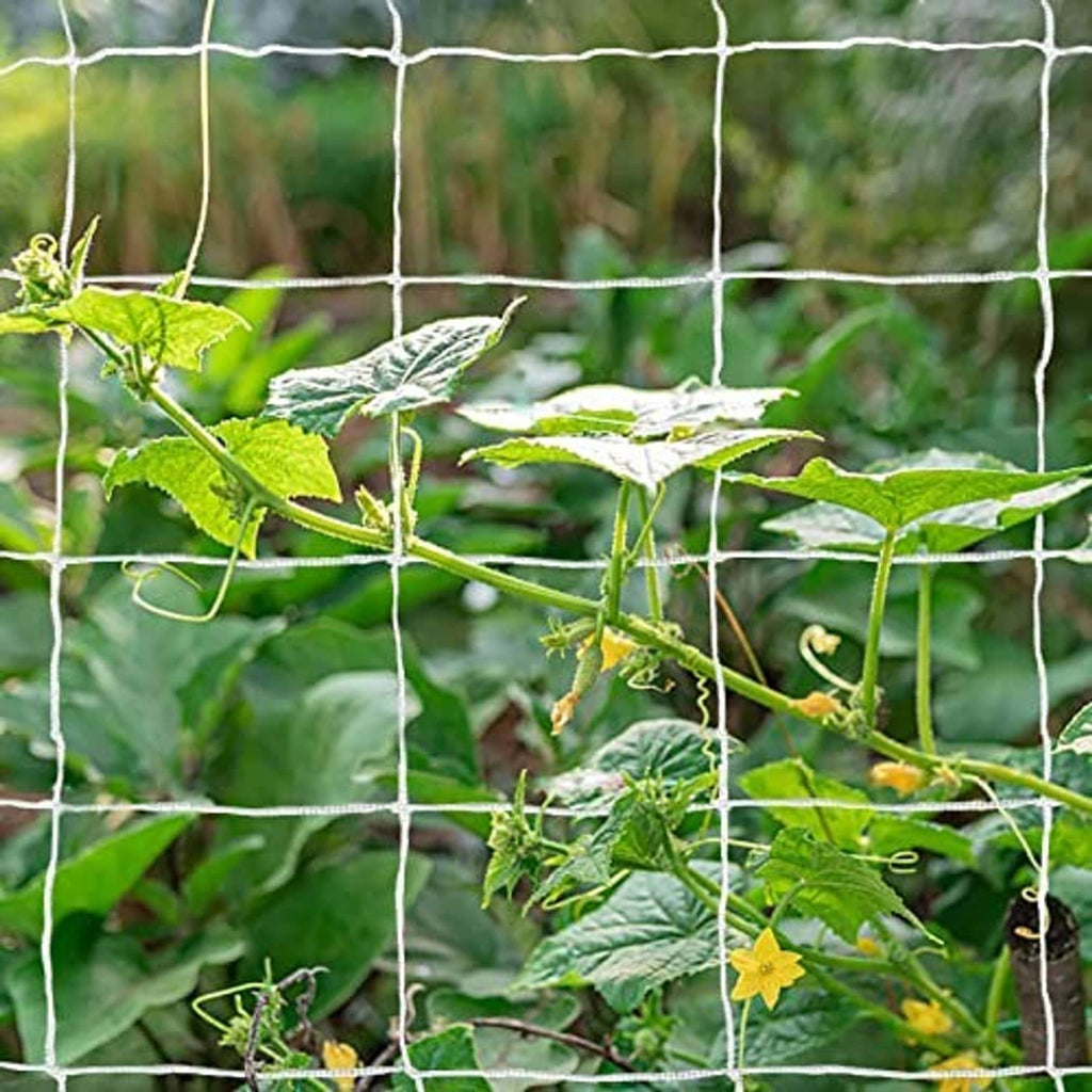White polyester trellis netting with 3.5 in mesh, surrounding green vines and leaves