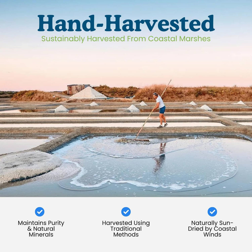 Hand-harvested salt ponds in coastal marshes with worker using a rake