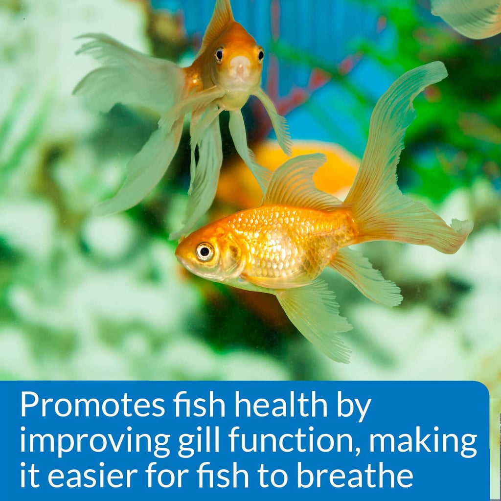 Aquarium salt product graphic over goldfish in aquarium water with blue text callout
