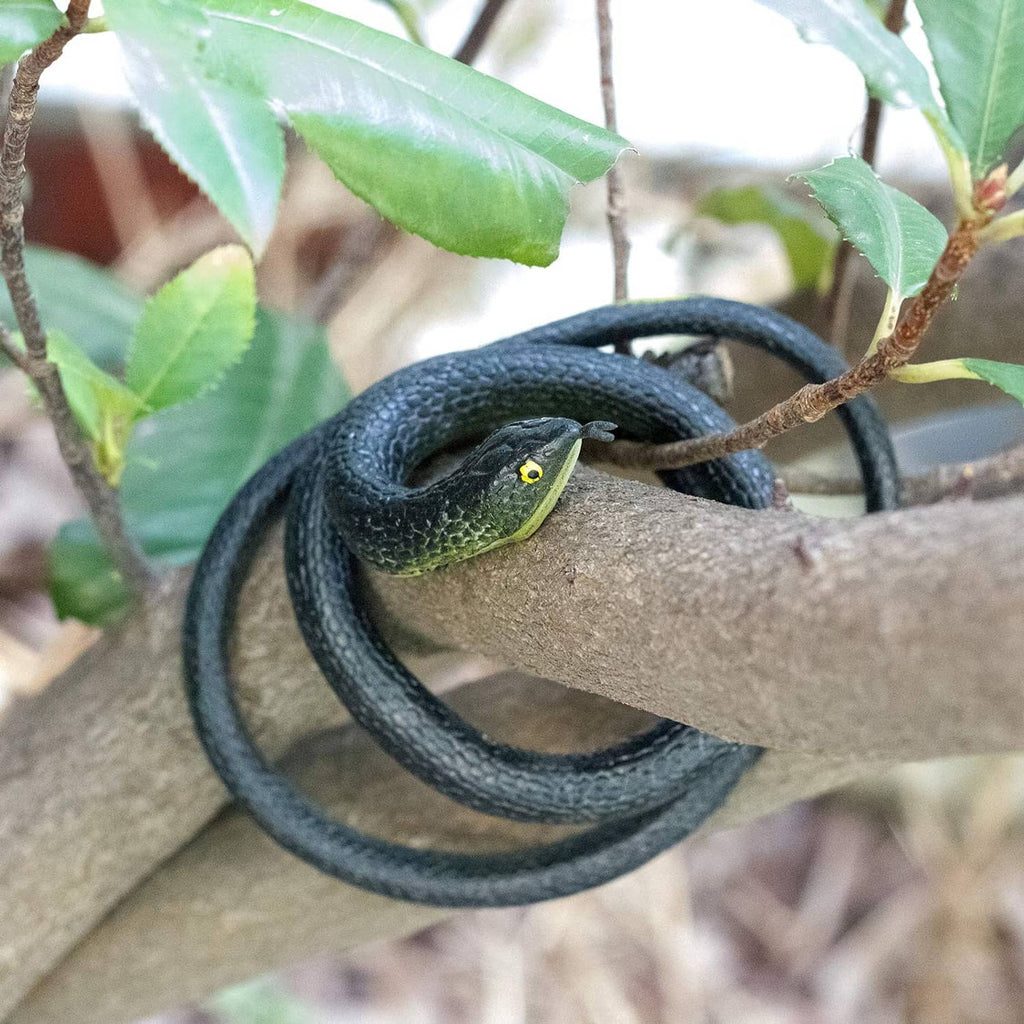 Green-headed rubber snake decoration, dark coiled body with yellow eye details.