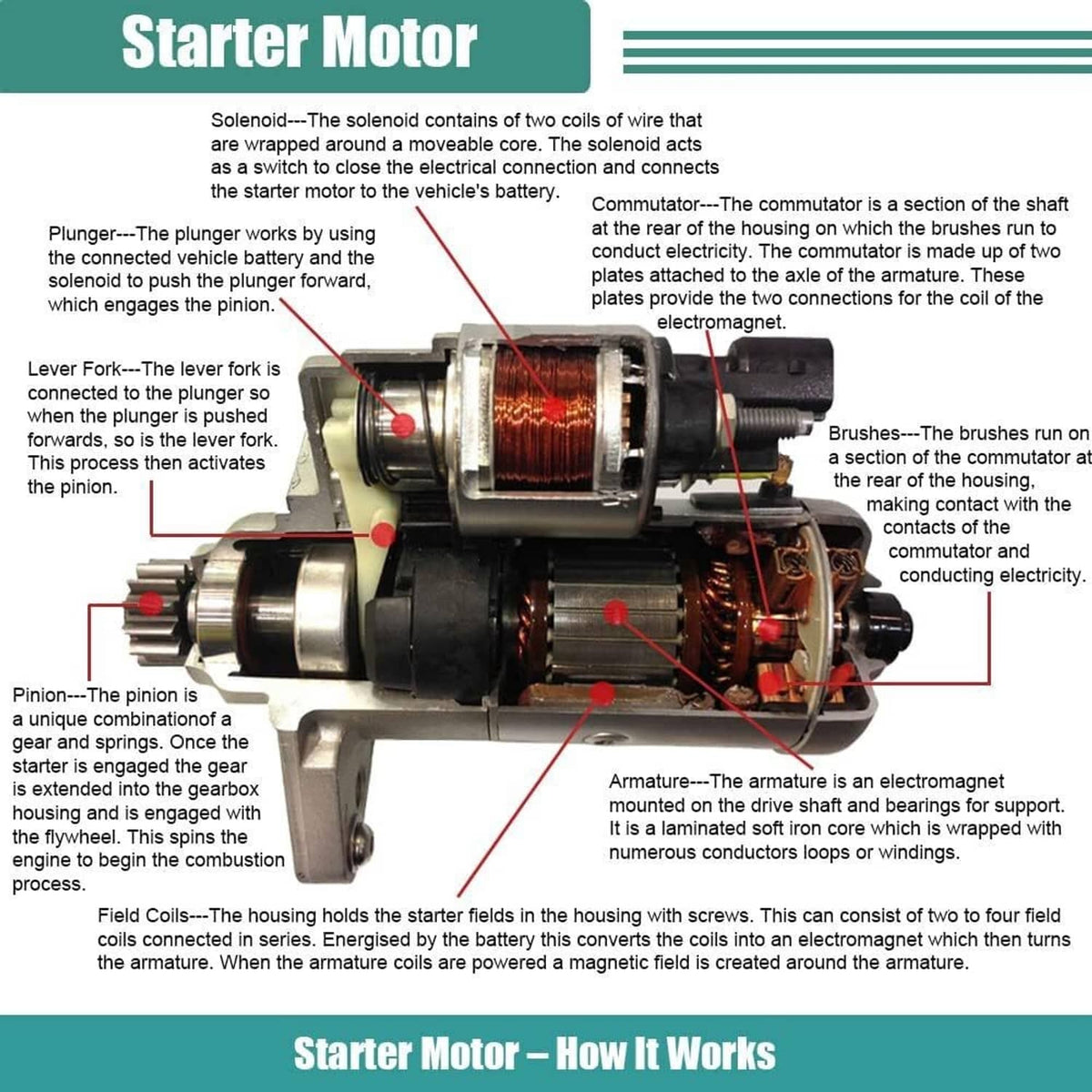 Starter motor cross-section diagram showing internal coils, armature, and linkage