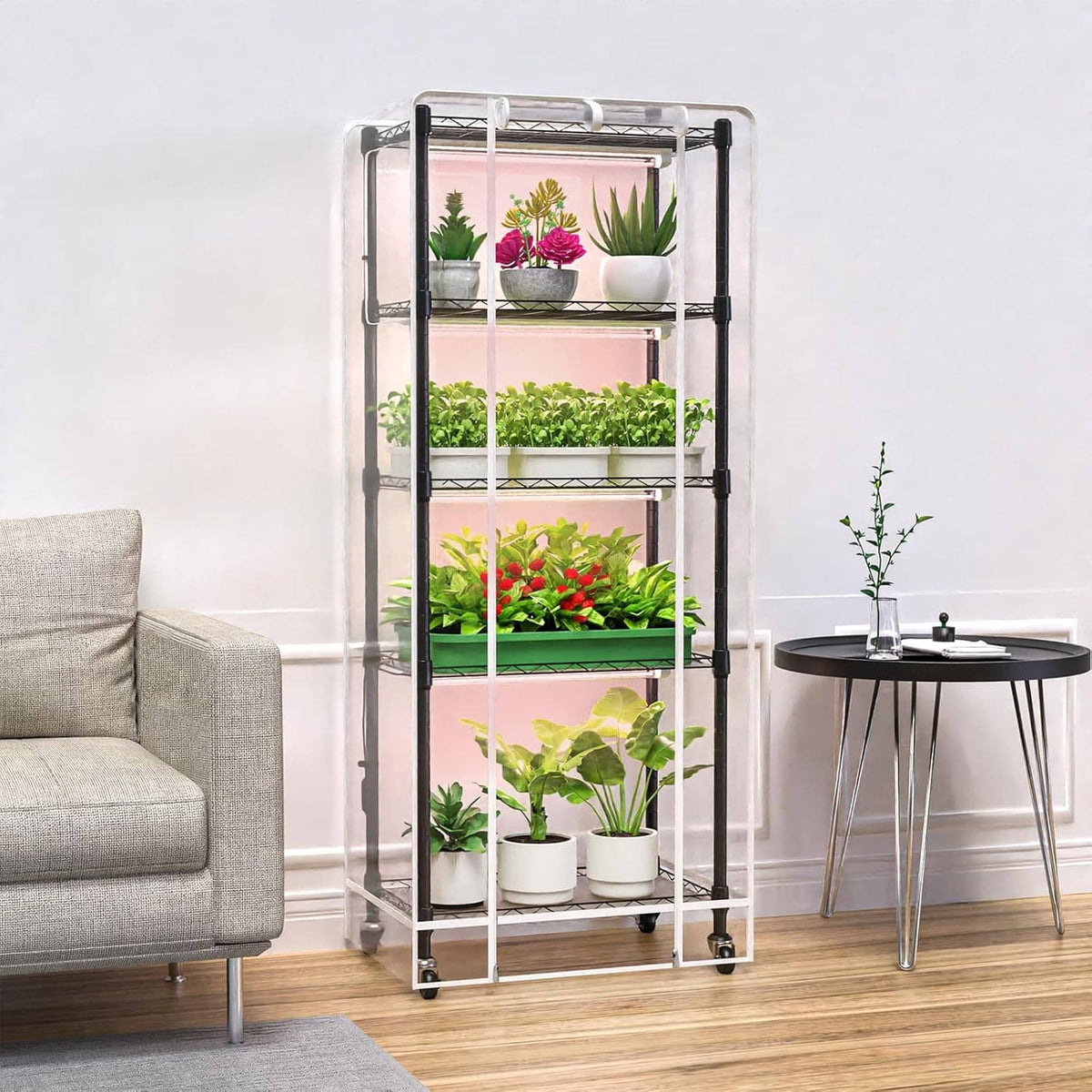 Mini greenhouse with clear cover and black metal frame, 4-tier plant shelves on rolling base