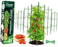 6-pack green tomato plant cages with tall wire frame for garden support