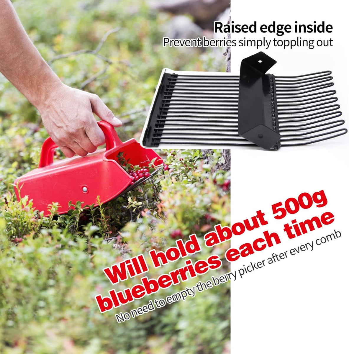 Red berry picker with raised inner comb edge and metallic teeth