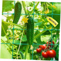 Garden trellis netting with teal square mesh, cucumbers and tomatoes