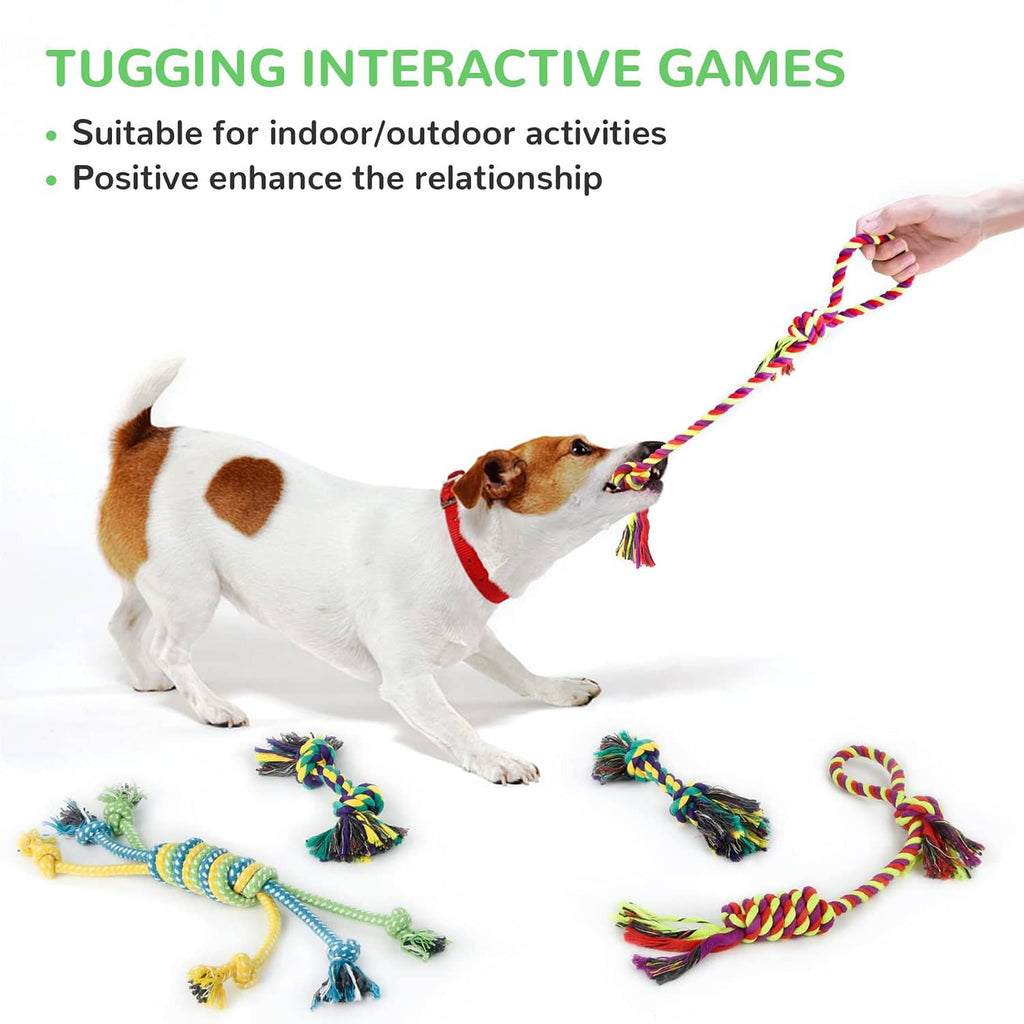 Small dog playing tug with a braided cotton rope toy and tassels