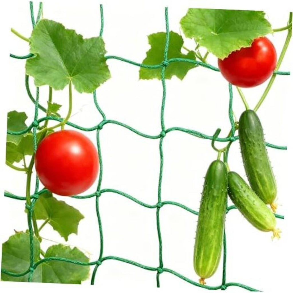 Green plastic trellis netting with square mesh and climbing vegetables