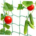 Green plastic trellis netting with square mesh and climbing vegetables