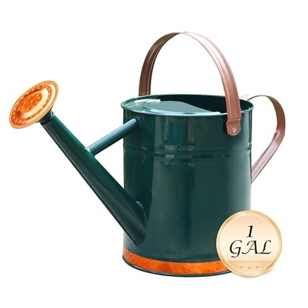 Sunnytong metal watering can with long spout, detachable rose head, and carrying handle