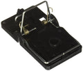 Black plastic rat snap trap with metal trigger and bait chamber, close-up view