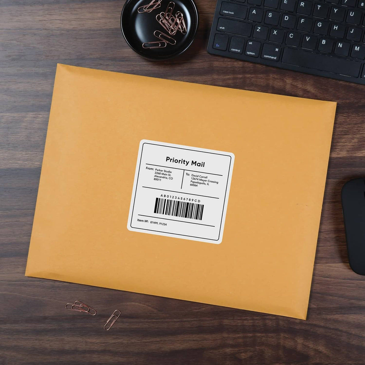 Kraft brown envelope with mailing label on top, sealed and ready to ship