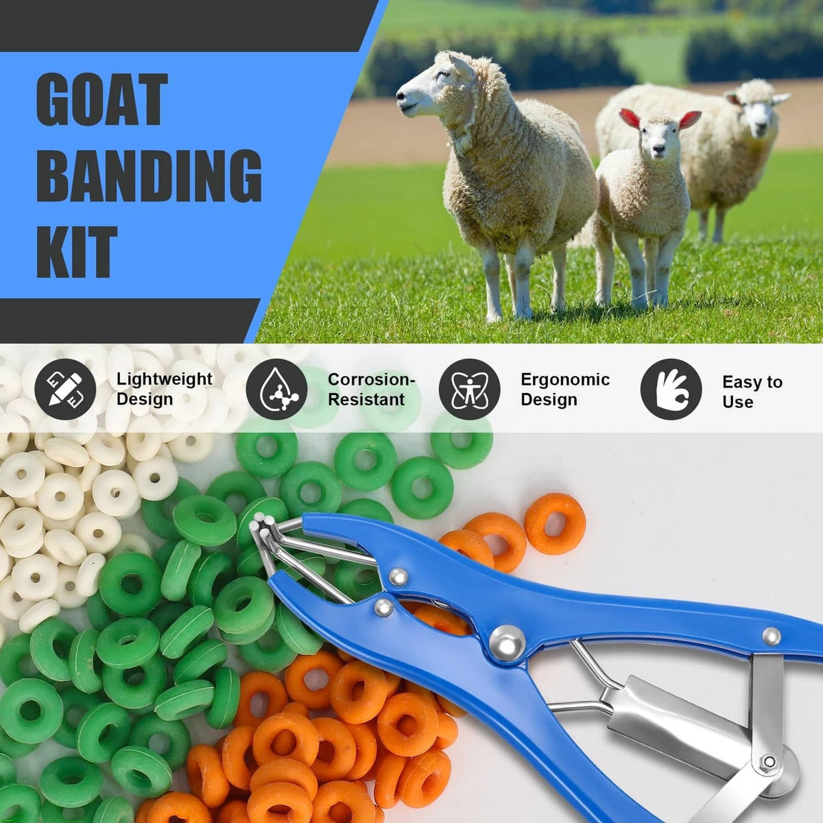 Blue elastrator banding pliers with mixed white, green, and orange rubber rings