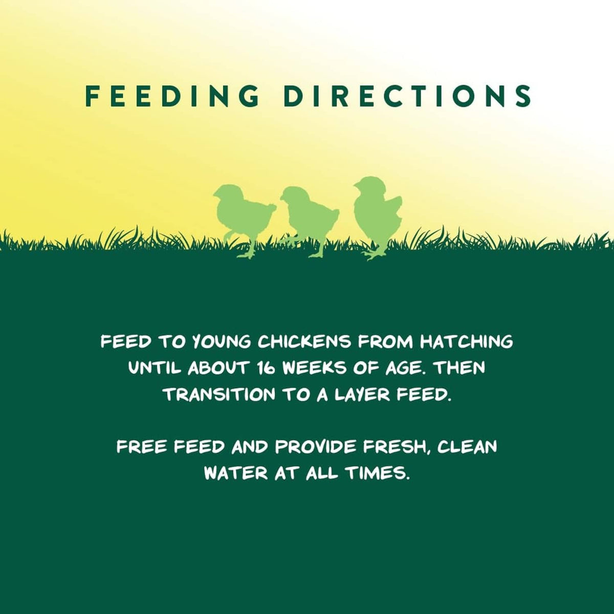 Feeding directions graphic: feed to young chicks from hatching until about 16 weeks, then transition
