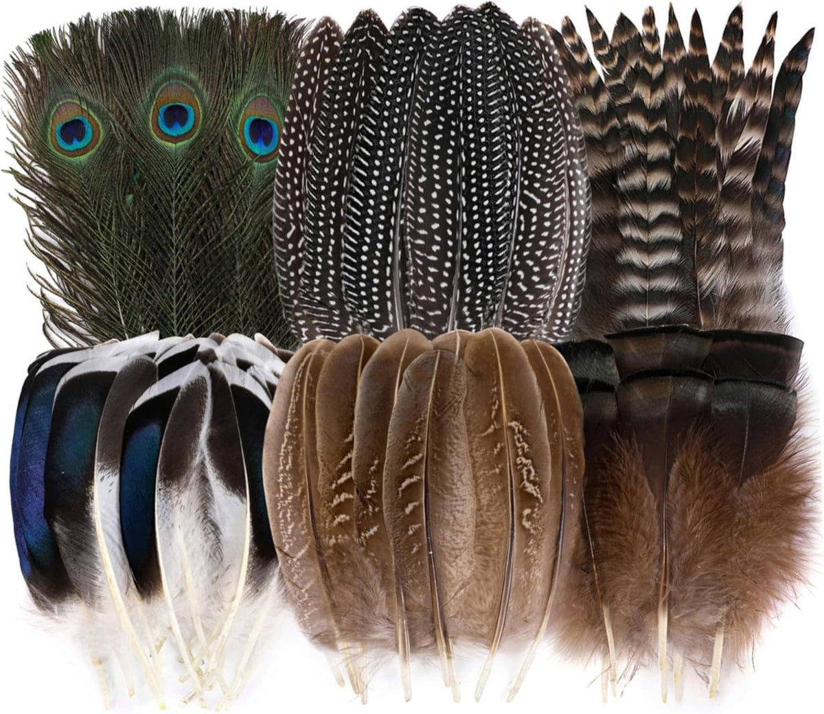 Assorted natural feather bundle with peacock, black-white striped, and brown feathers