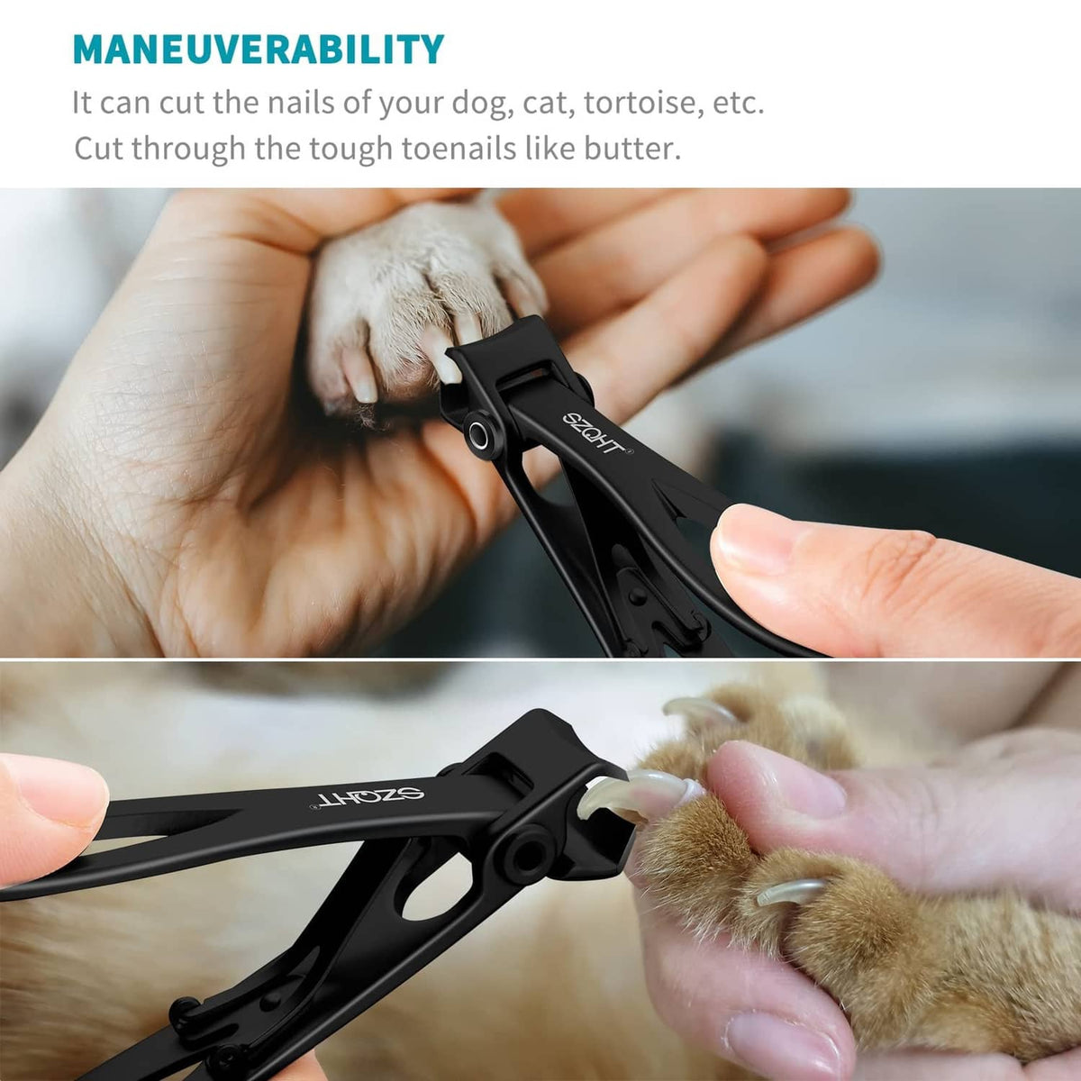 Black toenail clippers held near pet paw for precise trimming