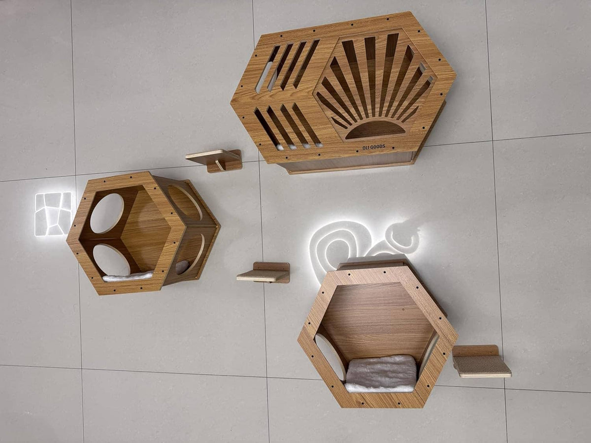 Wall-mounted hexagonal wood cat shelves with open lounges and step ledges, no cat visible