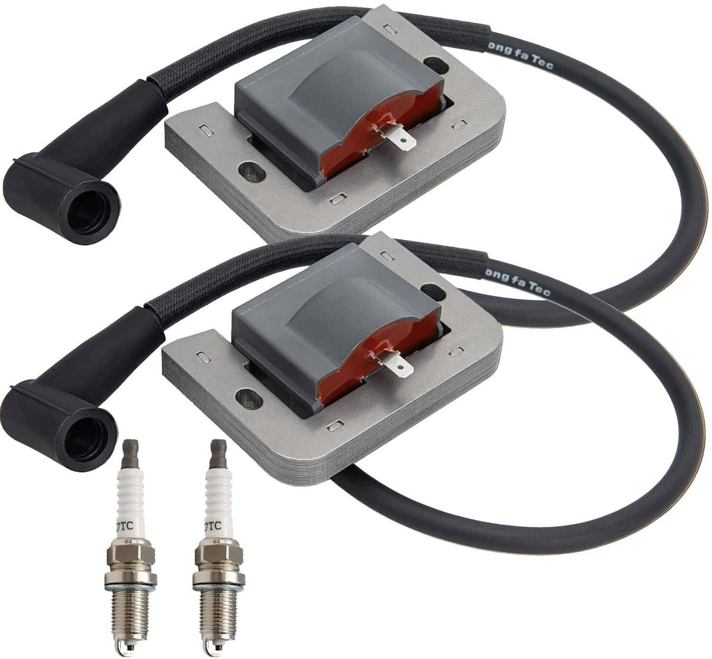 Ignition coil set with two gray modules, black boots, and two spark plugs