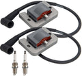 Ignition coil set with two gray modules, black boots, and two spark plugs