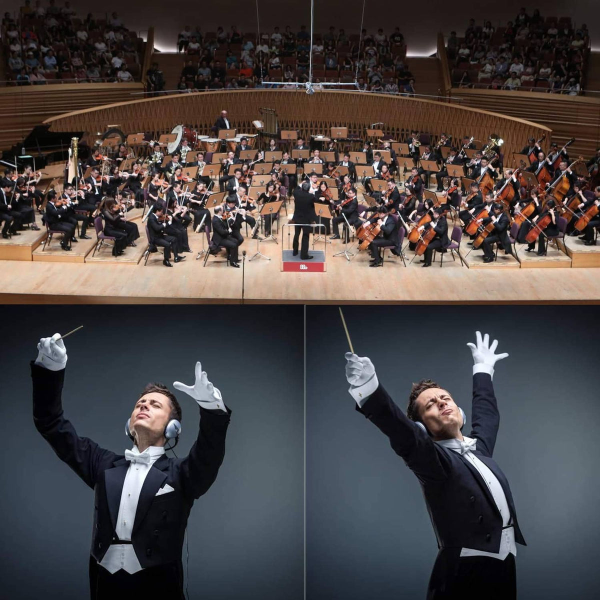 Orchestra conductor holding baton overhead; black tip and white shaft visible