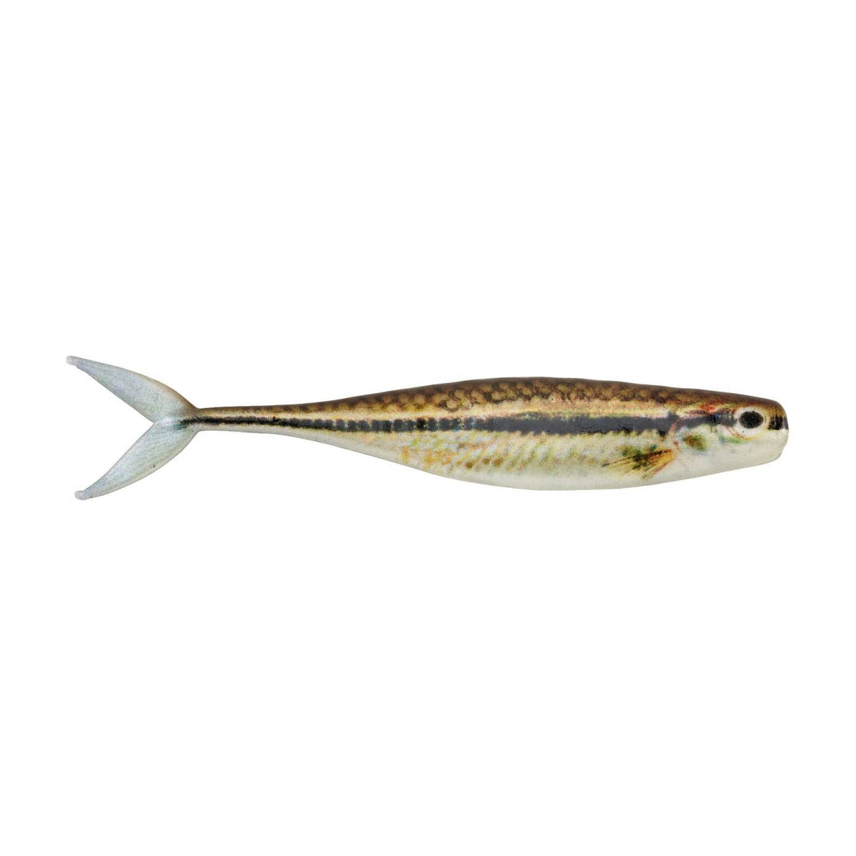 Blacknose shiner minnow fishing lure, silver and gold body with two treble hooks