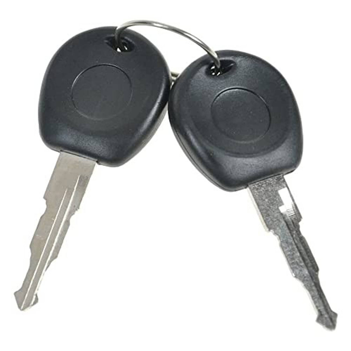 Two black door keys with metal teeth and key ring