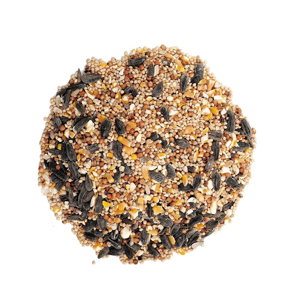 Deluxe wild bird food seed mix pile with small grains and dark shell pieces