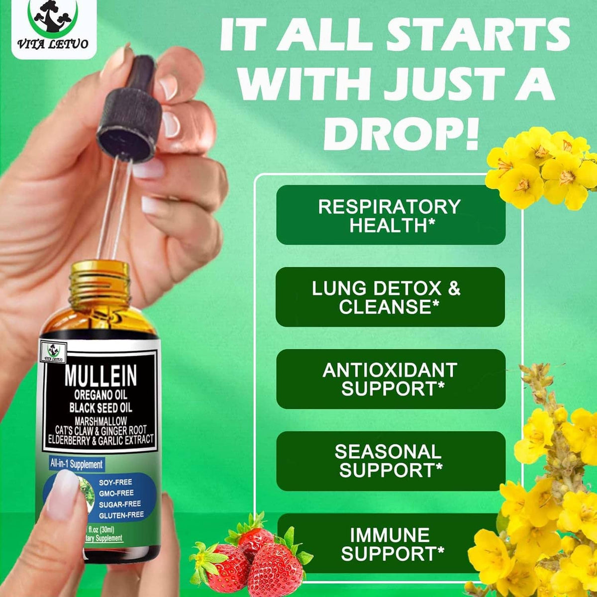Mullein supplement bottle and eyedropper held in a hand, green infographic benefits