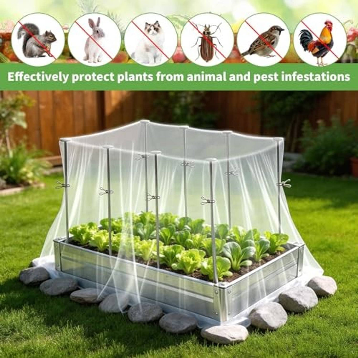 Raised garden bed with clear PE mesh cover and metal stake frame with clips