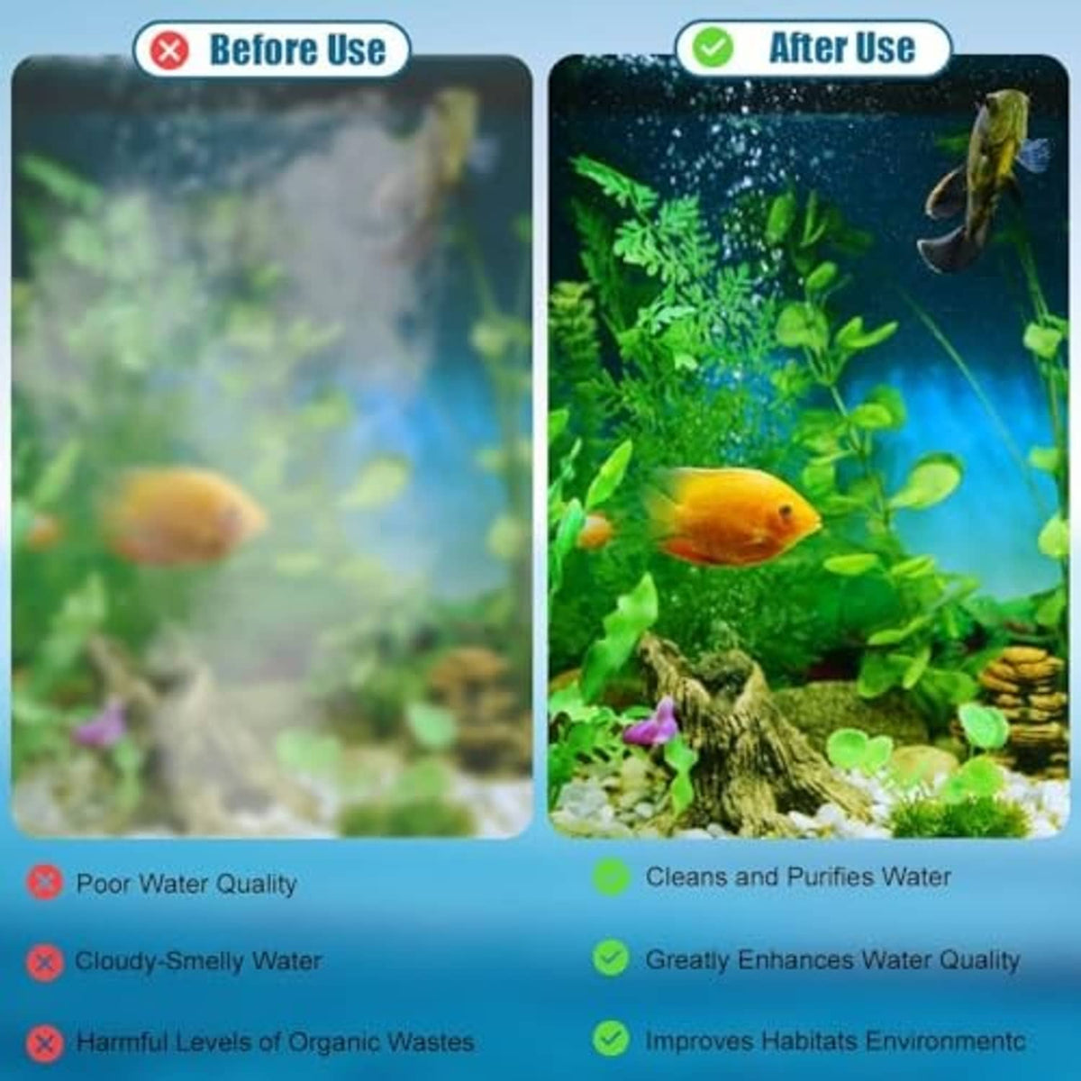 Aquarium filter cartridges before-and-after water quality graphic