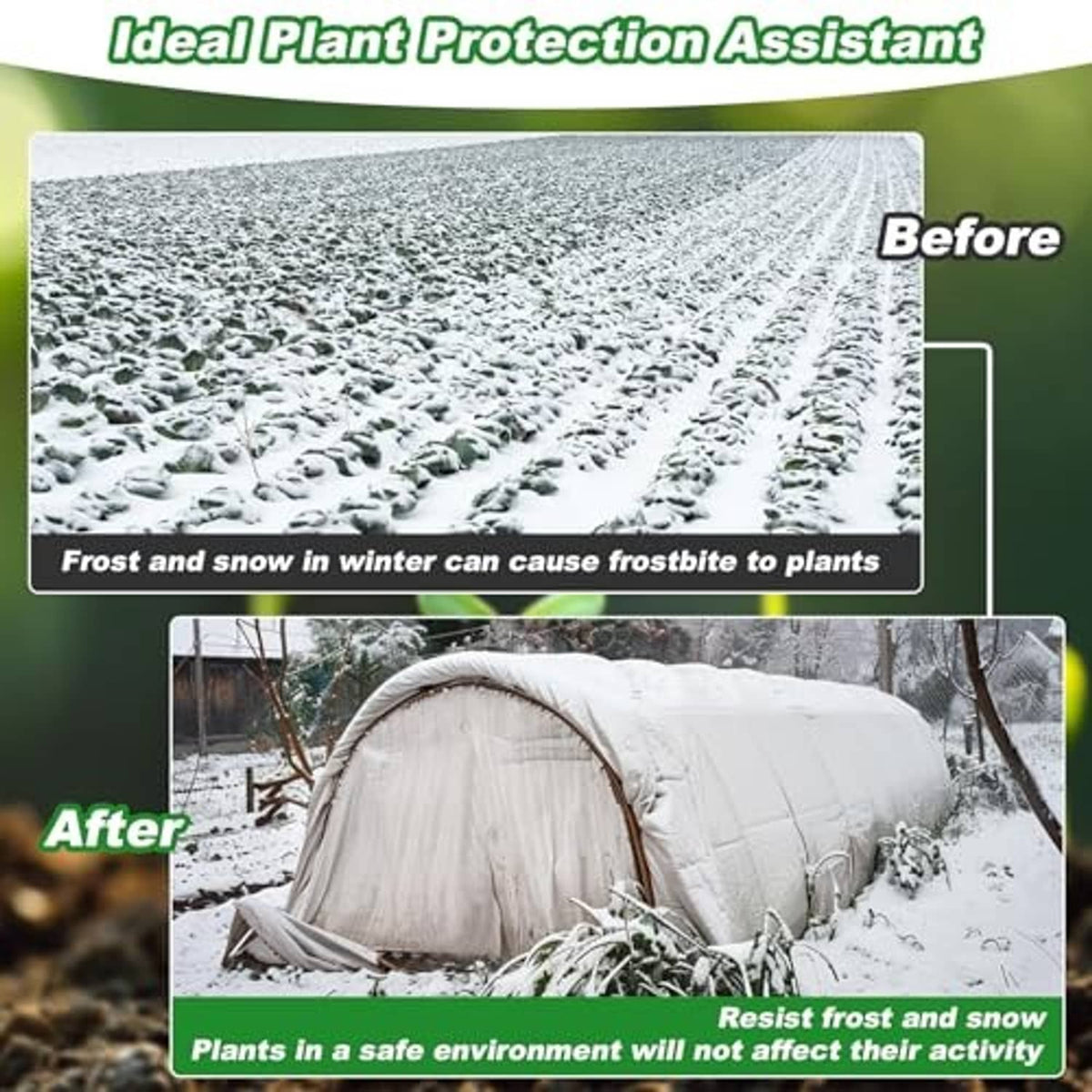 White non-woven plant cover for winter freeze protection, covering raised row tunnel