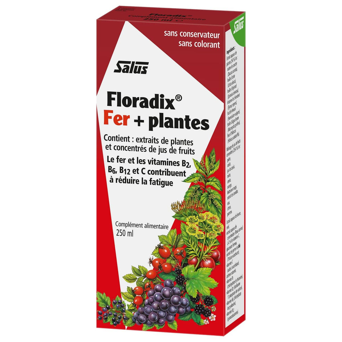 Floradix iron and vitamin drink 250 ml red carton, front label with plant icons