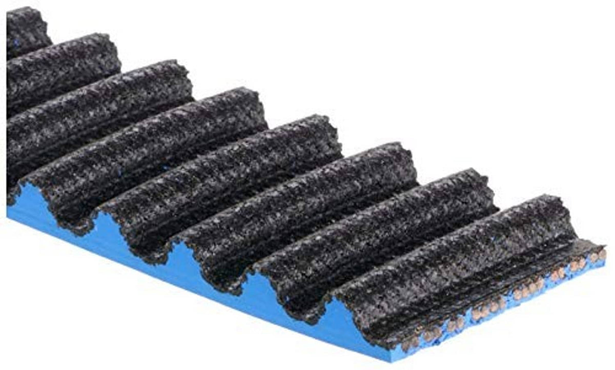 Blue timing belt with multiple black ribbed teeth, detailed edge