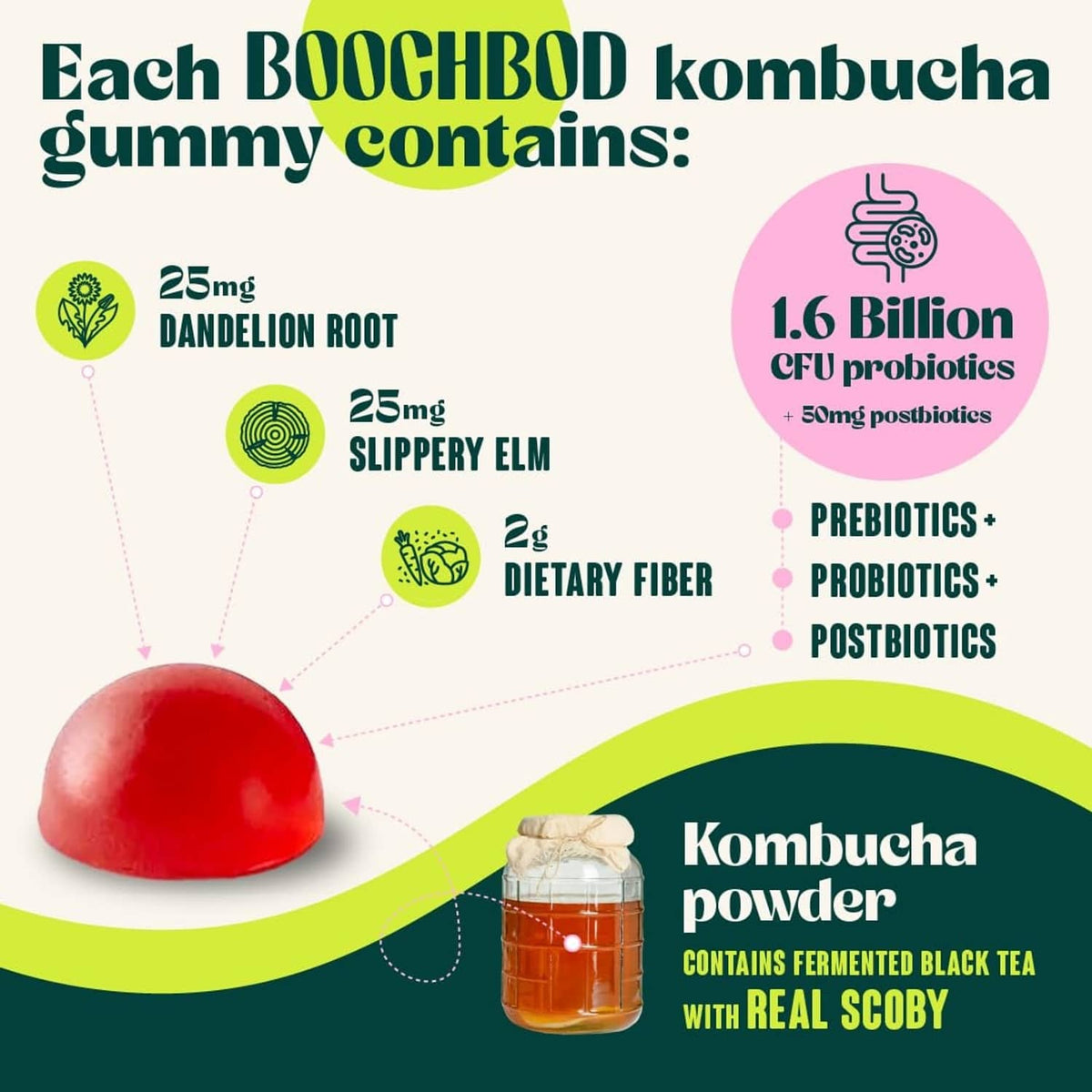 Kombucha gummy ingredient infographic showing dandelion root, slippery elm, and prebiotics
