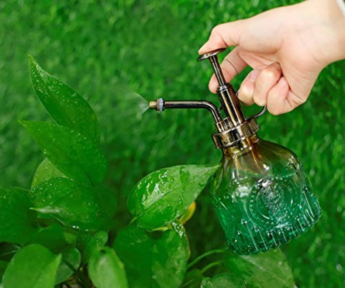 Glass plant mister bottle with green ribbed glass and black sprayer aimed at leaves.