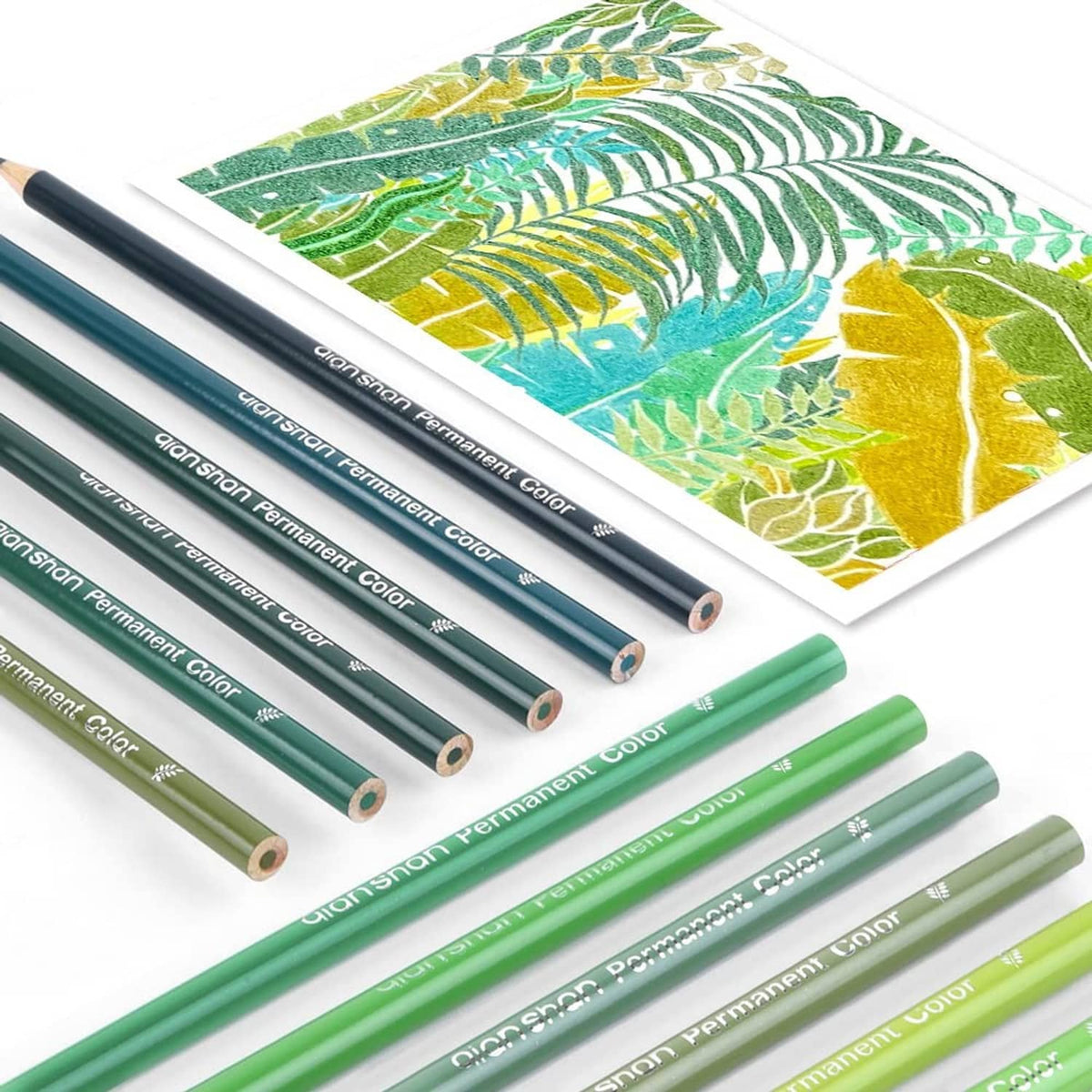 Twelve green colored pencils with printed barrels, arranged beside a leaf pattern card