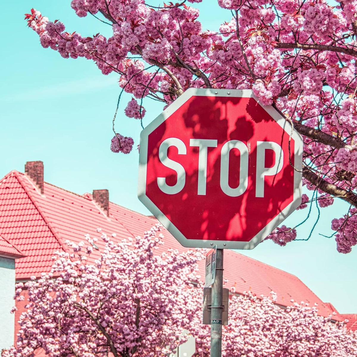 Octagonal red STOP sign with white letters on a metal post