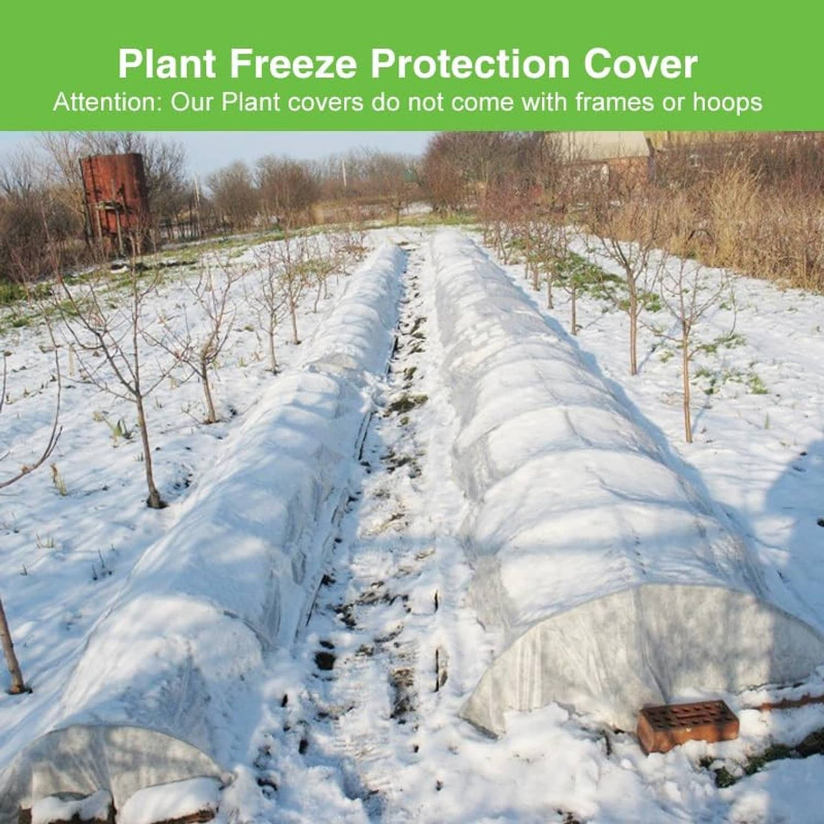 White plant protection blanket covering rows of shrubs in snowy yard