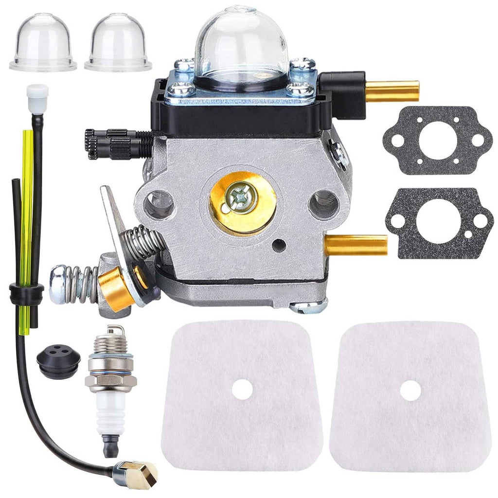 Carburetor assembly with fuel lines, filter, and gaskets, blue cap and gold fittings