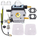 Carburetor assembly with fuel lines, filter, and gaskets, blue cap and gold fittings