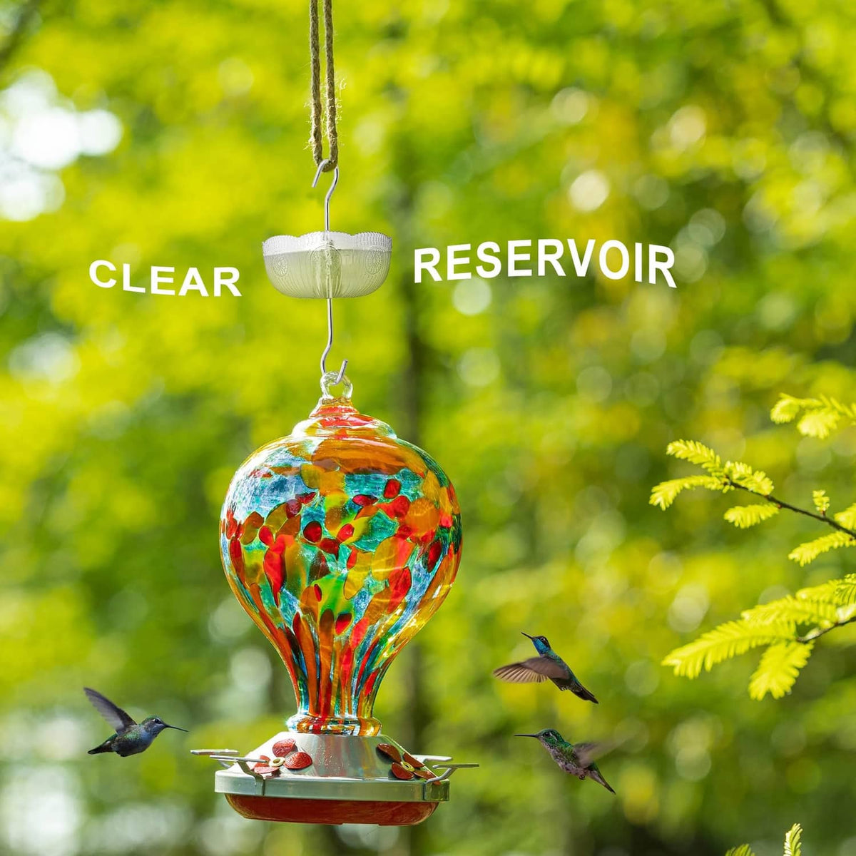 Clear ant moat reservoir hanging above a colorful hummingbird feeder