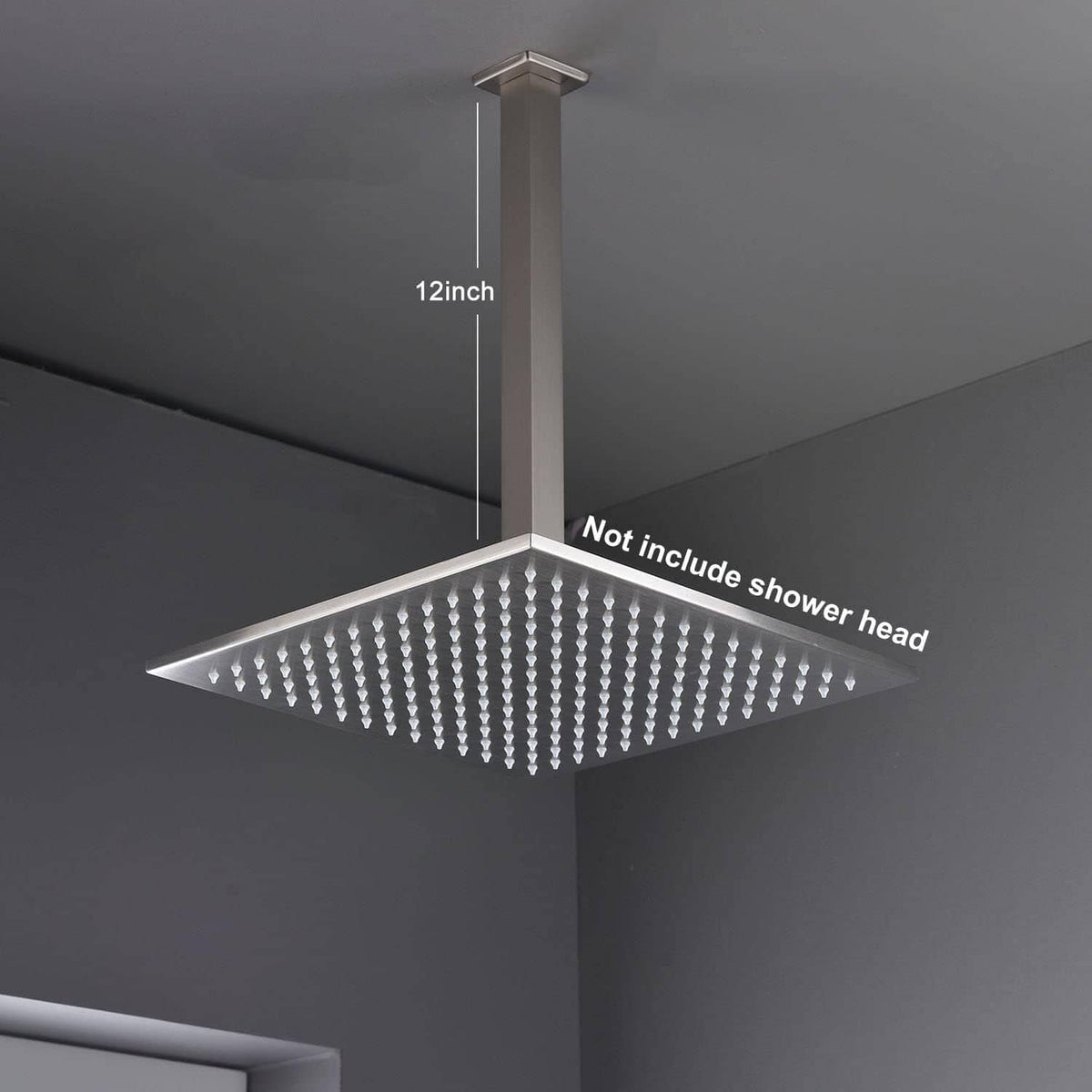 12 inch shower head extension arm with ceiling mount post, brushed metal finish