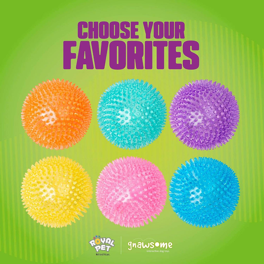 Spiky squeaker dog balls set, multiple colors orange blue purple with textured spikes