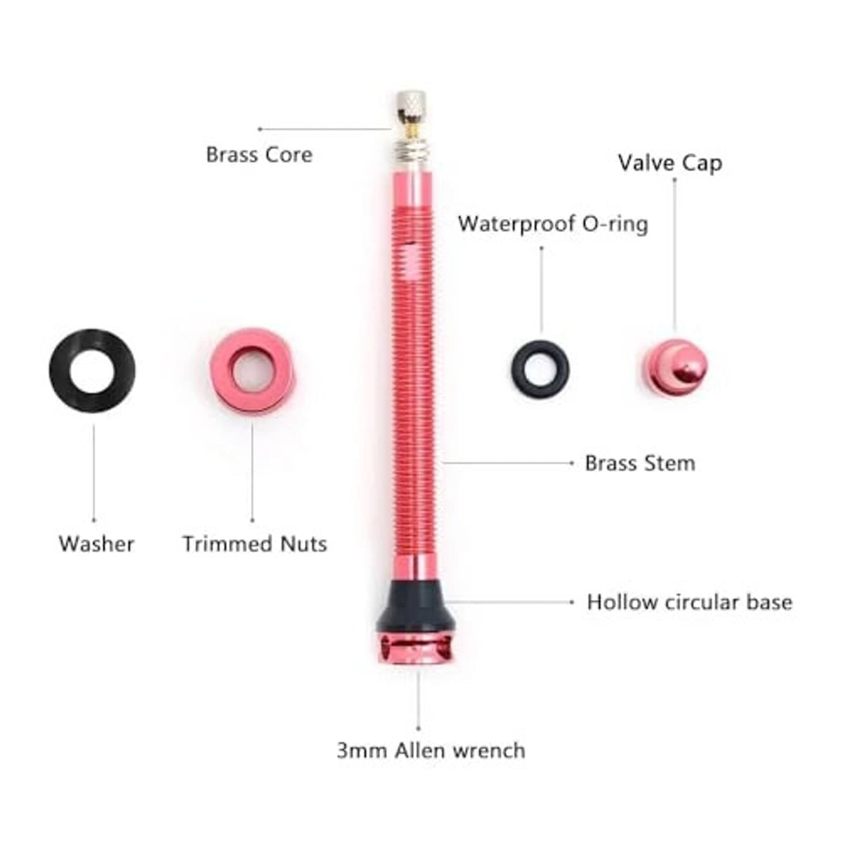 Tubeless Presta valve parts: red stem, brass core, washers, o-ring, valve cap