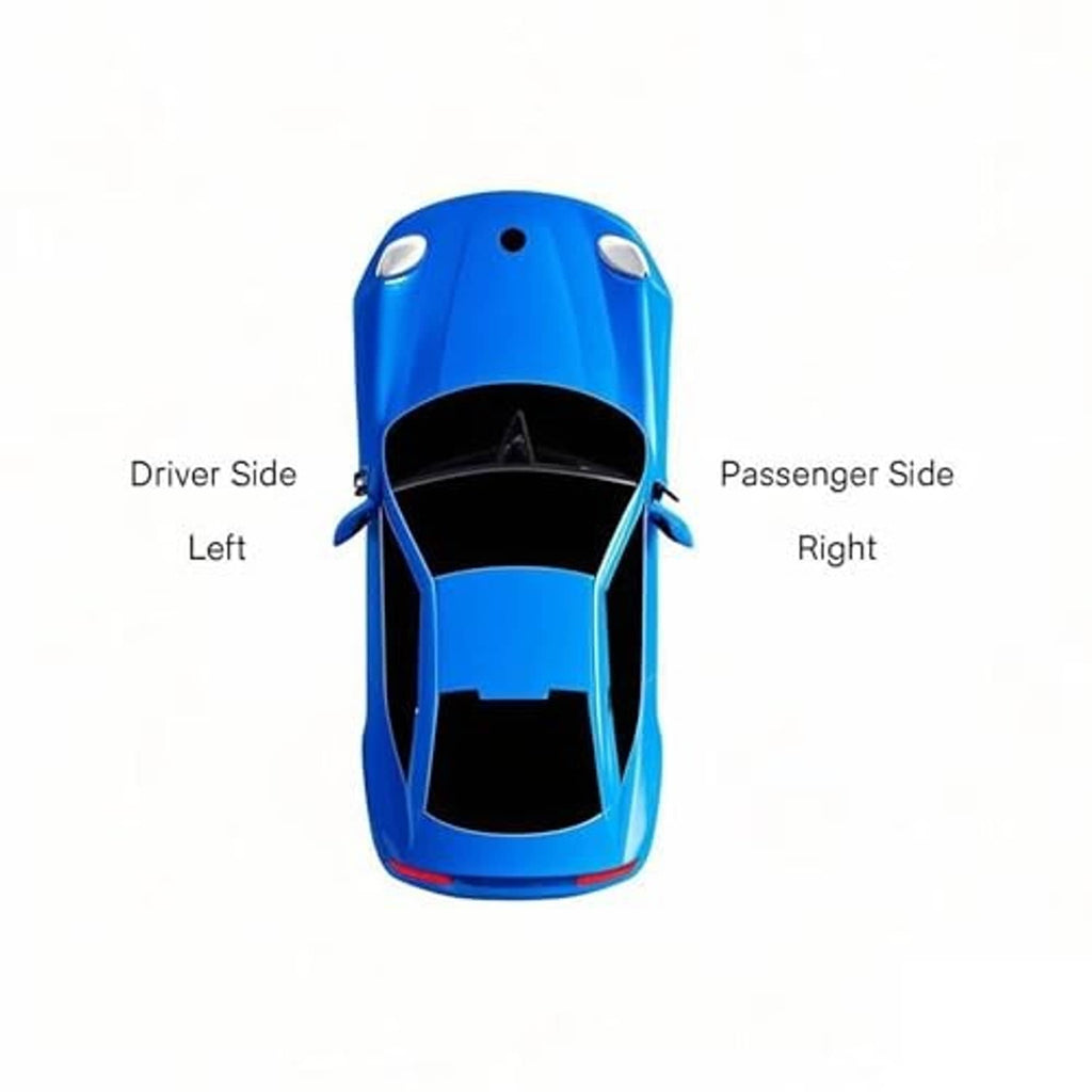 Car diagram showing driver-side left and passenger-side right mirror positions.