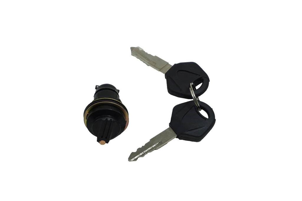 Ignition lock cylinder with keys, black key heads and metal blades